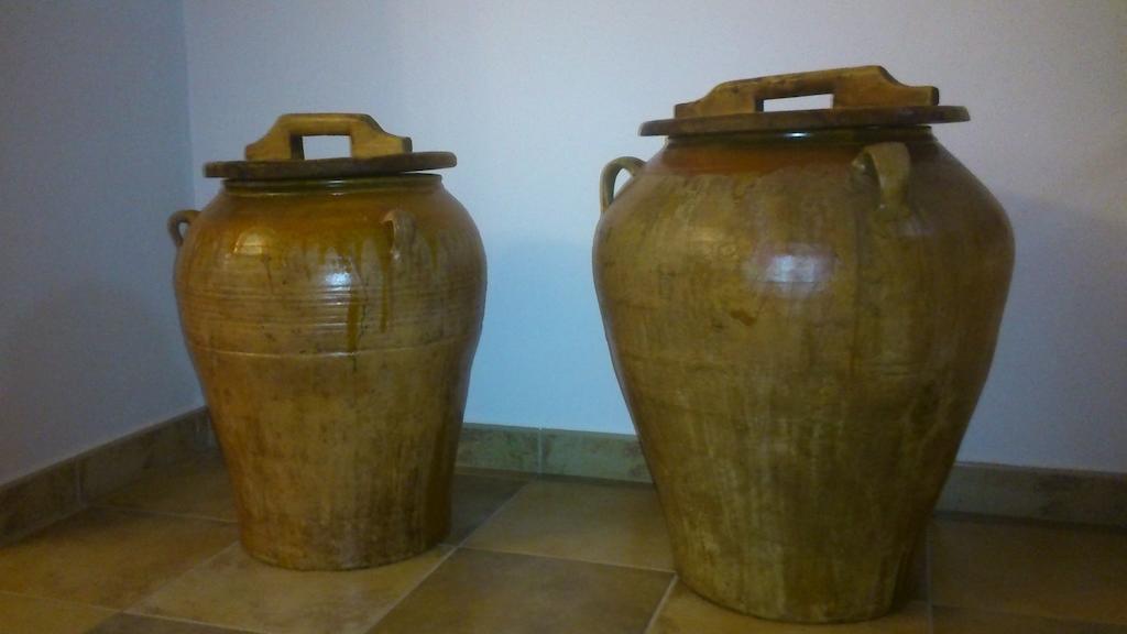 Apartamentos San Gregorio Alquézar Kültér fotó